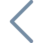 Chevron Left SVG Icon